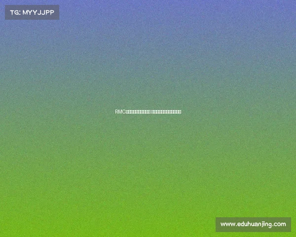 RMC：扎巴尔尼已抵达巴黎 即将进行体检确认加盟细节